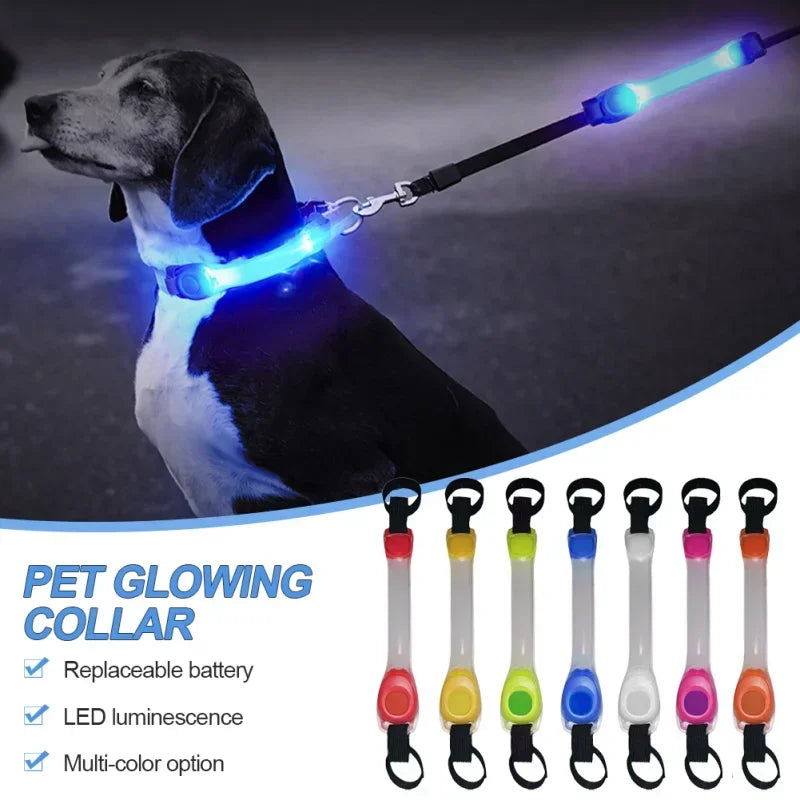 GlowPet Rechargeable LED Safety Collar – Multi-Color Glow for Night Walks