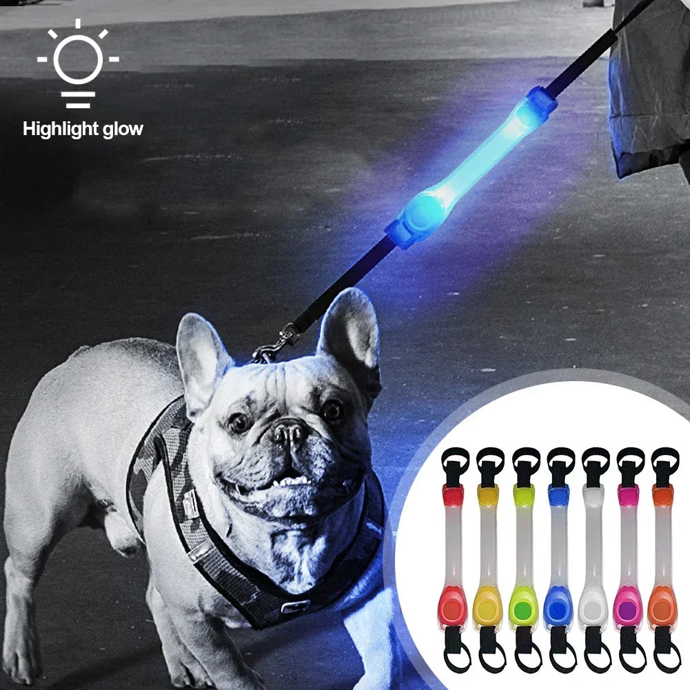 GlowPet Rechargeable LED Safety Collar – Multi-Color Glow for Night Walks