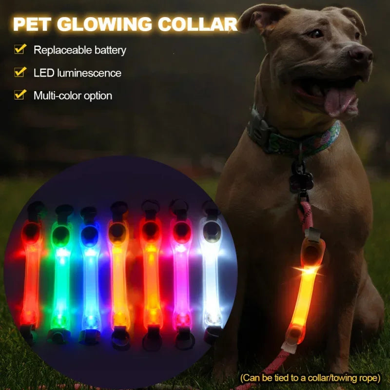 GlowPet Rechargeable LED Safety Collar – Multi-Color Glow for Night Walks