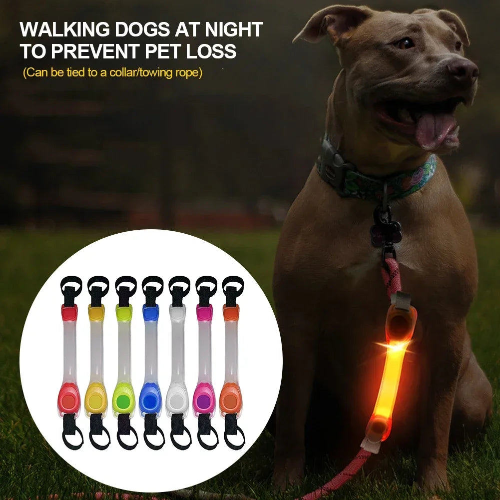 GlowPet Rechargeable LED Safety Collar – Multi-Color Glow for Night Walks