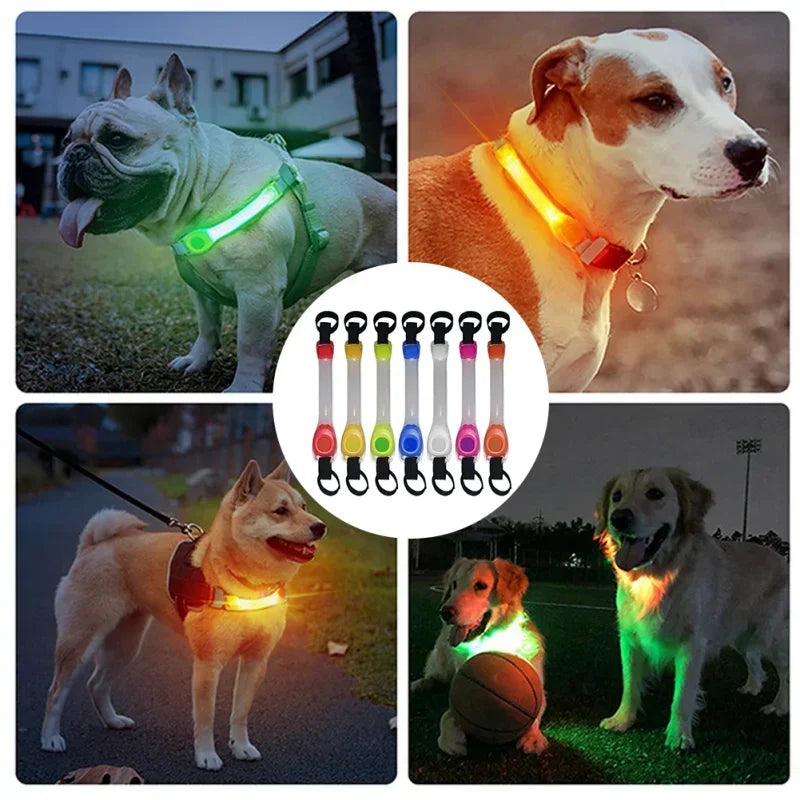 GlowPet Rechargeable LED Safety Collar – Multi-Color Glow for Night Walks