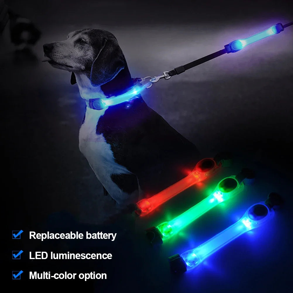 GlowPet Rechargeable LED Safety Collar – Multi-Color Glow for Night Walks