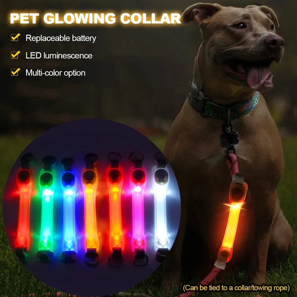 GlowPet Rechargeable LED Safety Collar – Multi-Color Glow for Night Walks